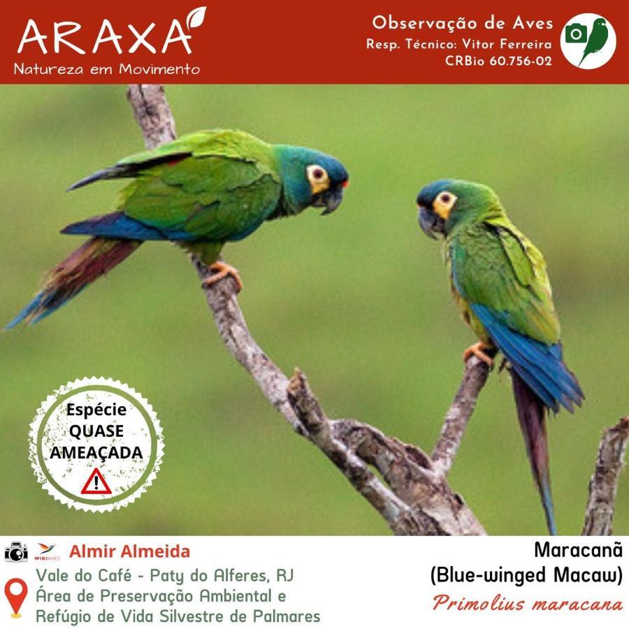 Sitio Araxa - 82 Anos De Historia - Suite Confortavel Em Meio A Floresta Паті-ду-Алферіс Екстер'єр фото
