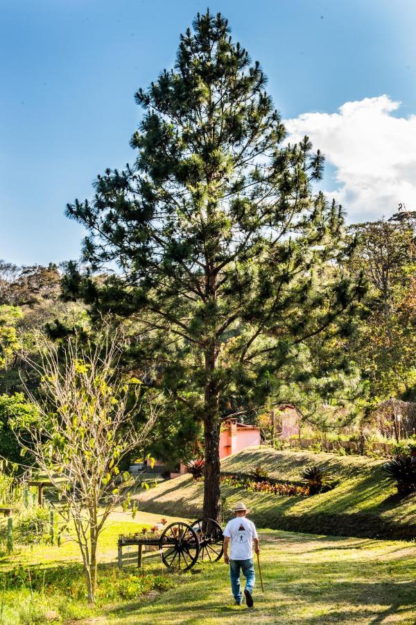 Sitio Araxa - 82 Anos De Historia - Suite Confortavel Em Meio A Floresta Паті-ду-Алферіс Екстер'єр фото