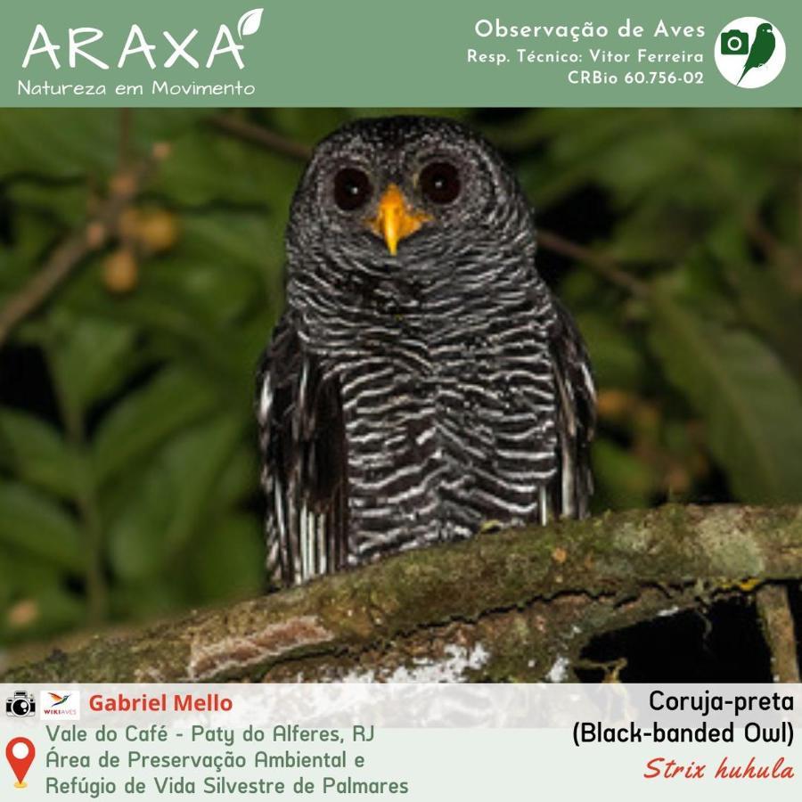 Sitio Araxa - 82 Anos De Historia - Suite Confortavel Em Meio A Floresta Паті-ду-Алферіс Екстер'єр фото