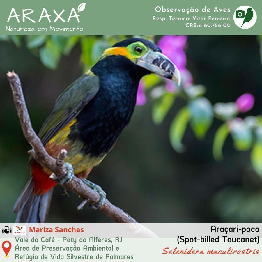 Sitio Araxa - 82 Anos De Historia - Suite Confortavel Em Meio A Floresta Паті-ду-Алферіс Екстер'єр фото